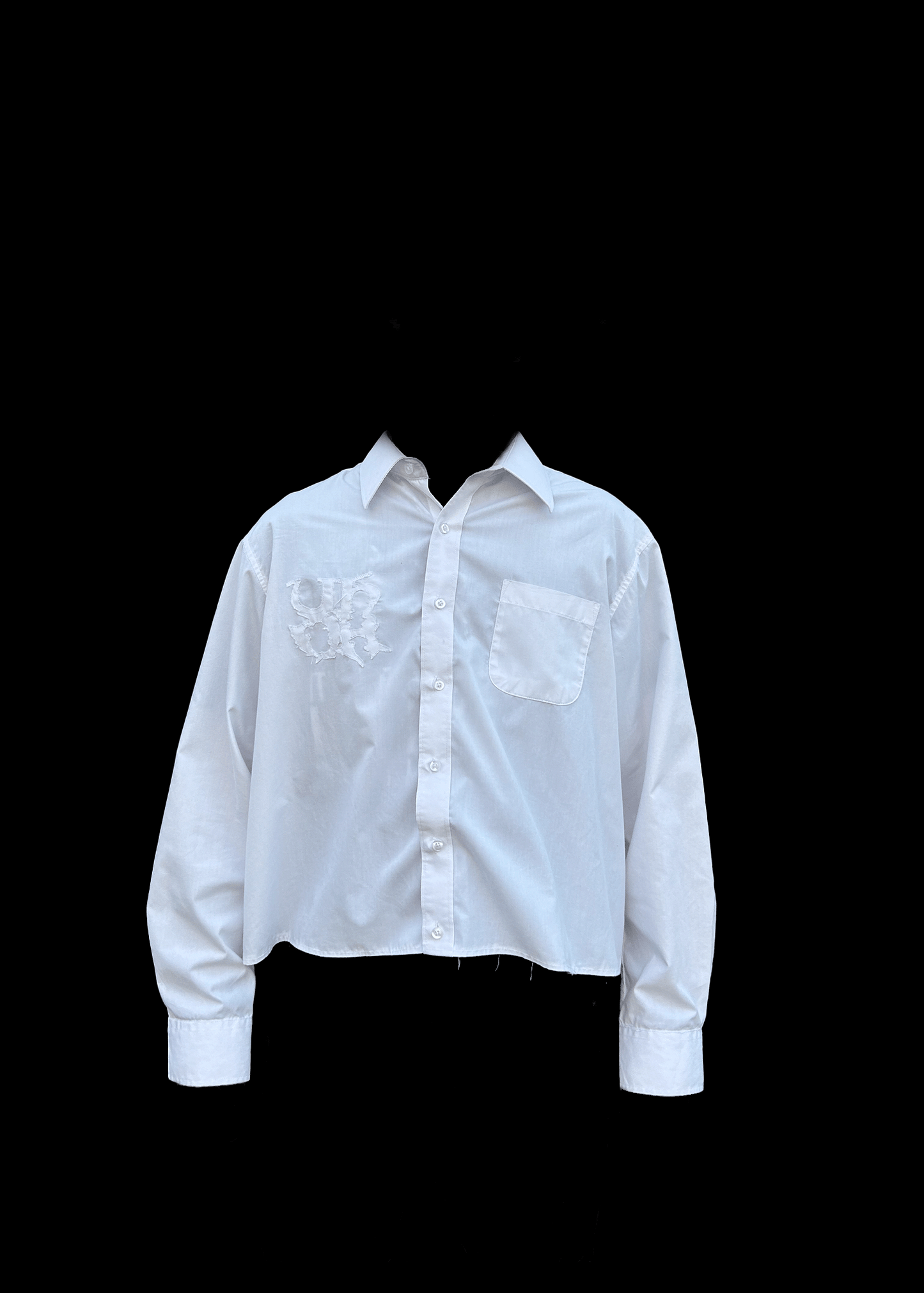 Transparent Button Up